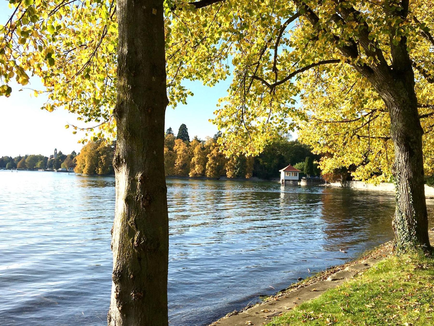 Ferienwohnung Lindauer Loewe Lindau  Esterno foto